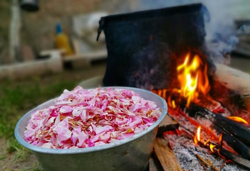 Rosa Therapy Butik Otel