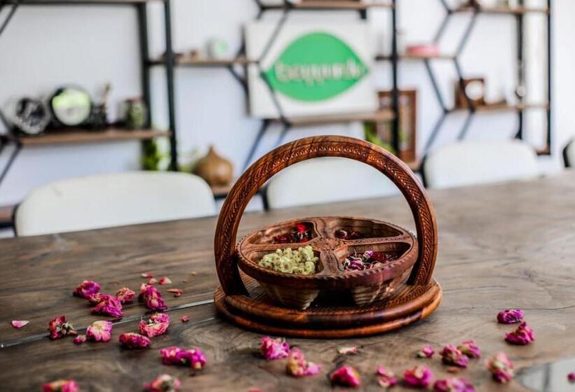 Rosa Therapy Butik Otel