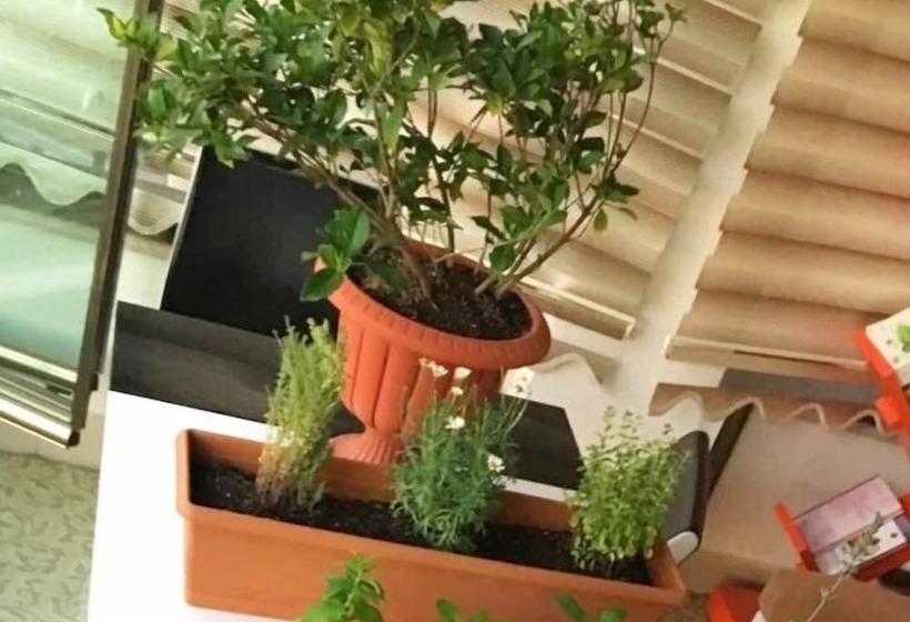 Rosa Therapy Butik Otel