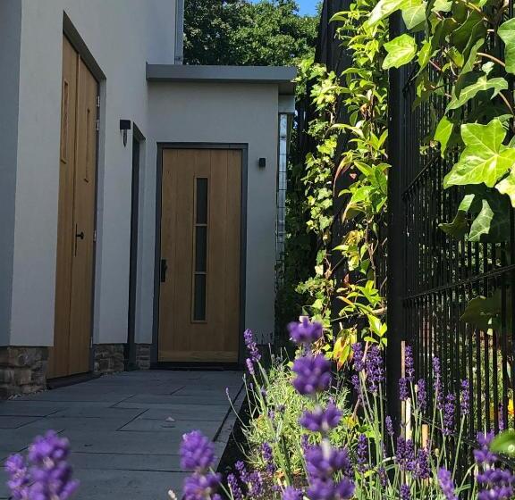 B&b In De Schulp   Luxe Studio & Parking