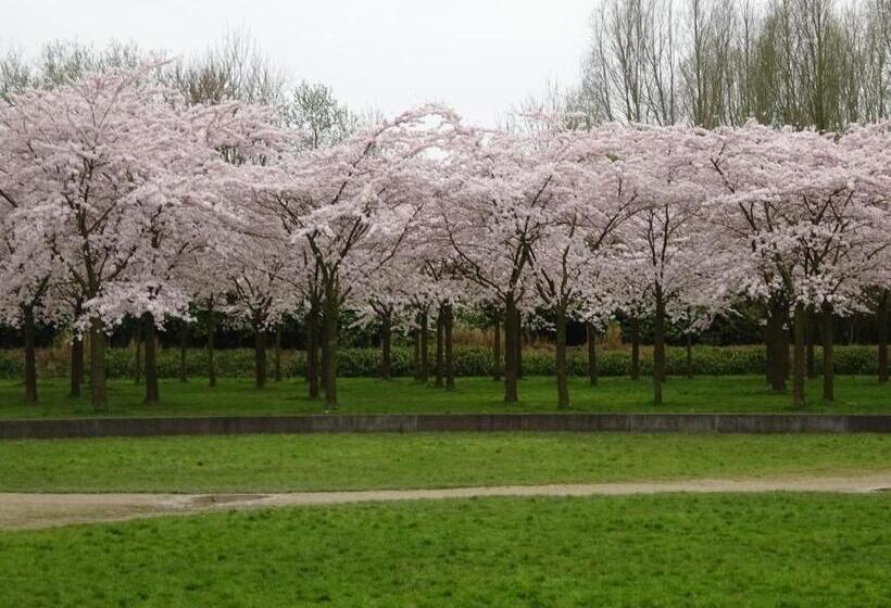 B&b In De Schulp   Luxe Studio & Parking