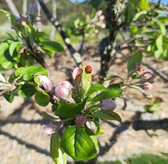 צימר Hannaksen Tila