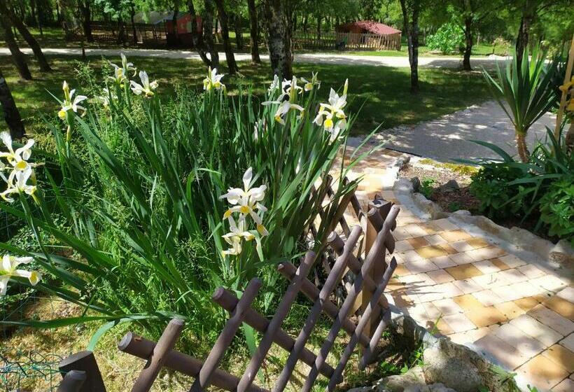 Bed and Breakfast Le Mas De Balmes