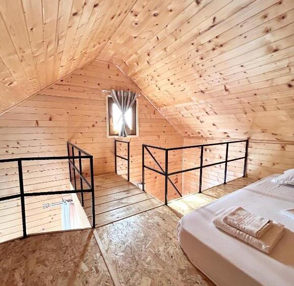 펜션 Cazare Nicoleta