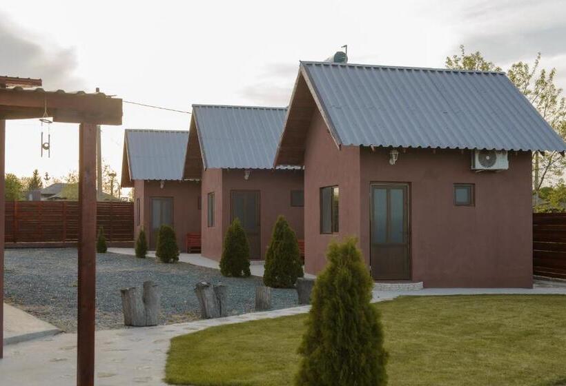 펜션 Cazare Nicoleta