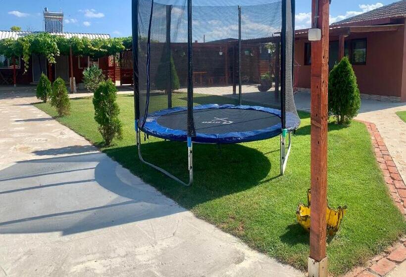 펜션 Cazare Nicoleta