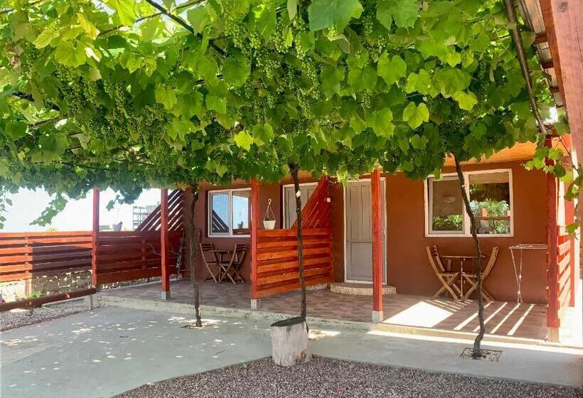 펜션 Cazare Nicoleta