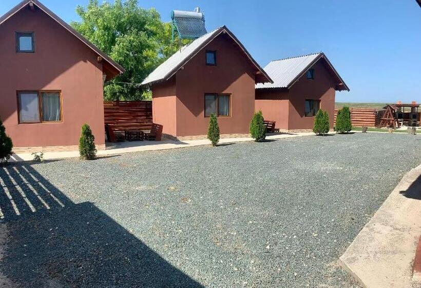 펜션 Cazare Nicoleta