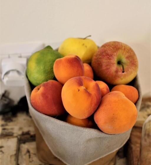 Пансион Loft 66