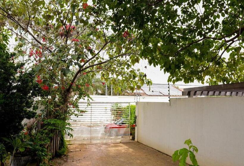 פנסיון Pousada Dos Bosques Refúgio Urbano