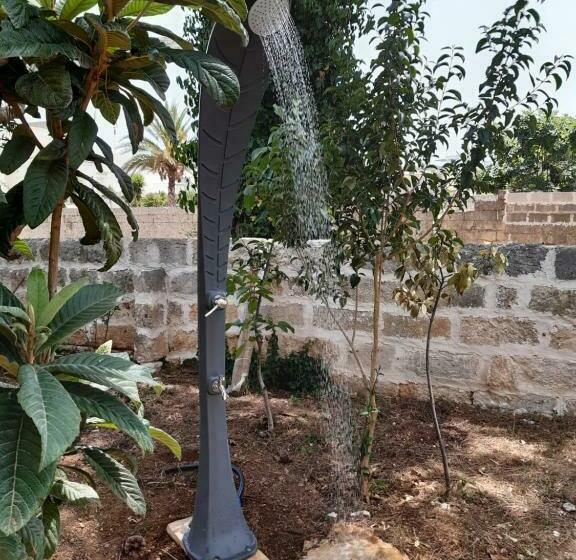 بنسيون Santu Dunatu Natureliving