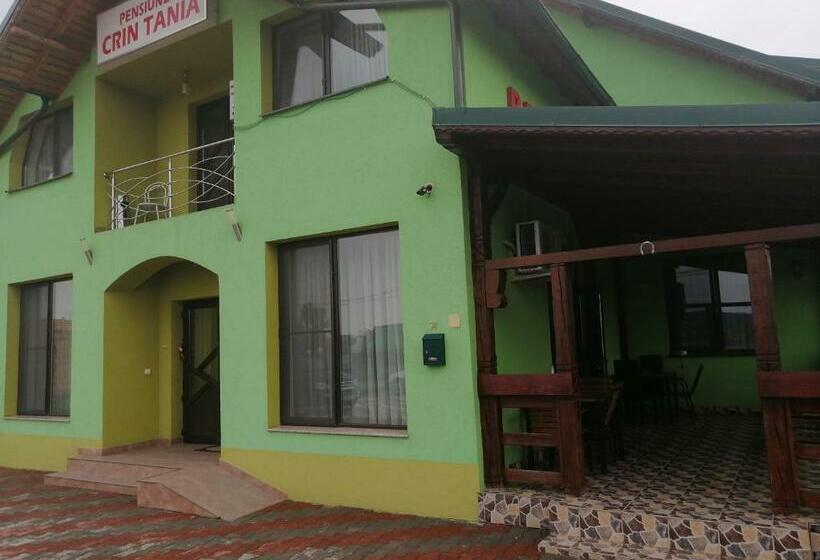 Pensiunea Maria Tania   Restaurant