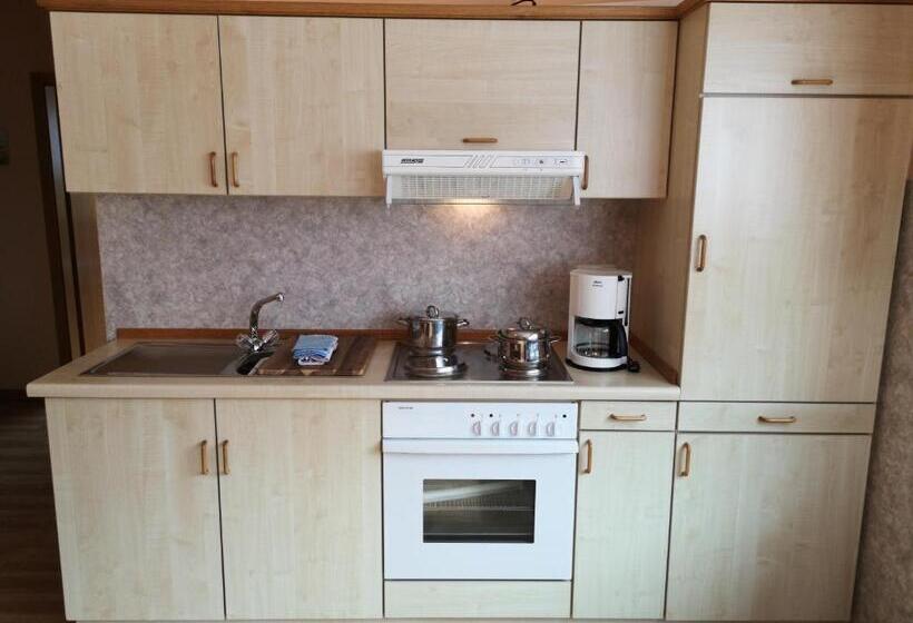 Appart Pension Schier