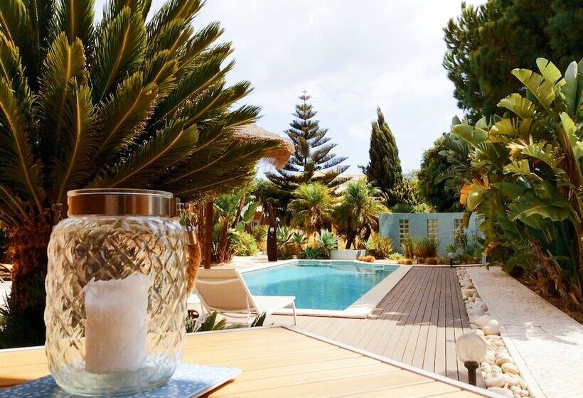 Bed and Breakfast Casa Canavial