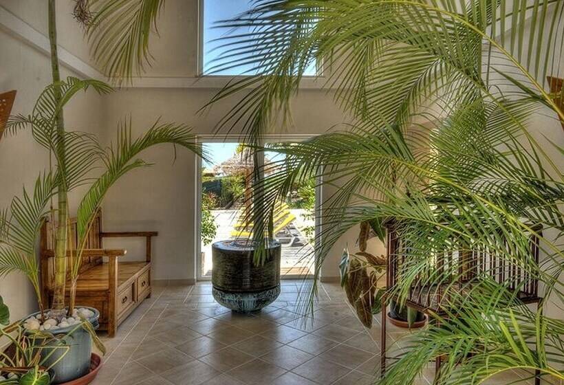 Bed and Breakfast Casa Canavial