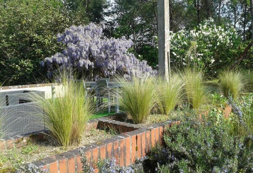 ベッドアンドブレックファースト Château Des Bretonnières Sur Vie   Maison D Hôtes