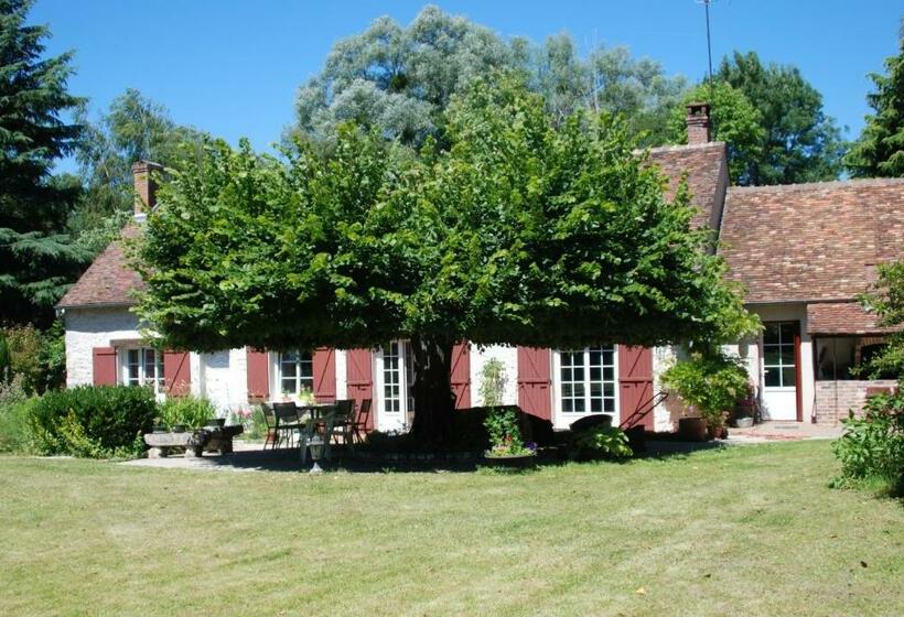 צימר La Petite Marguerite