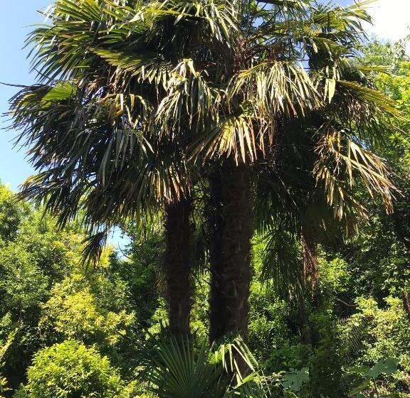 مبيت وإفطار Villa Monte Bianco
