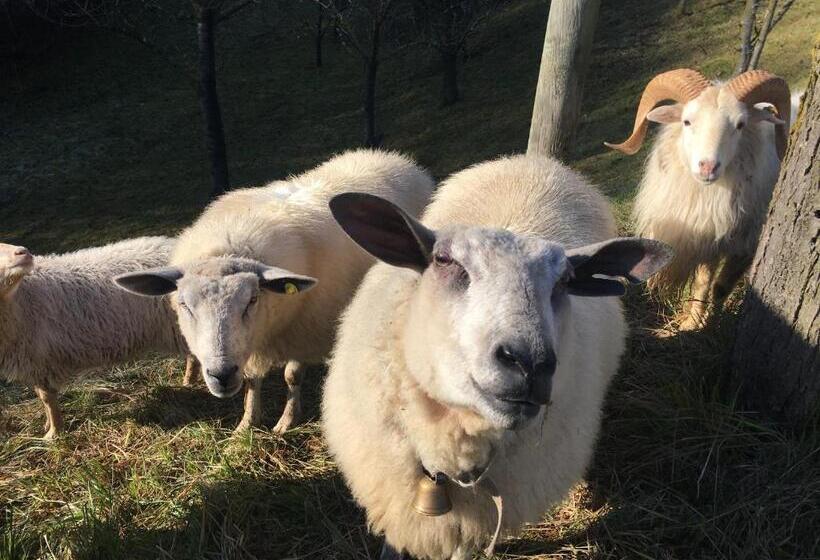 호텔 Agriturismo Fattoria Togonegro