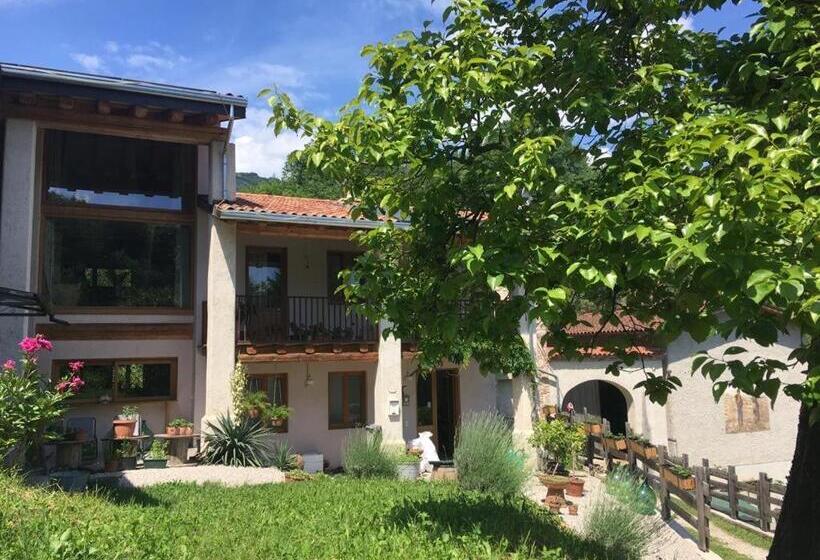 호텔 Agriturismo Fattoria Togonegro