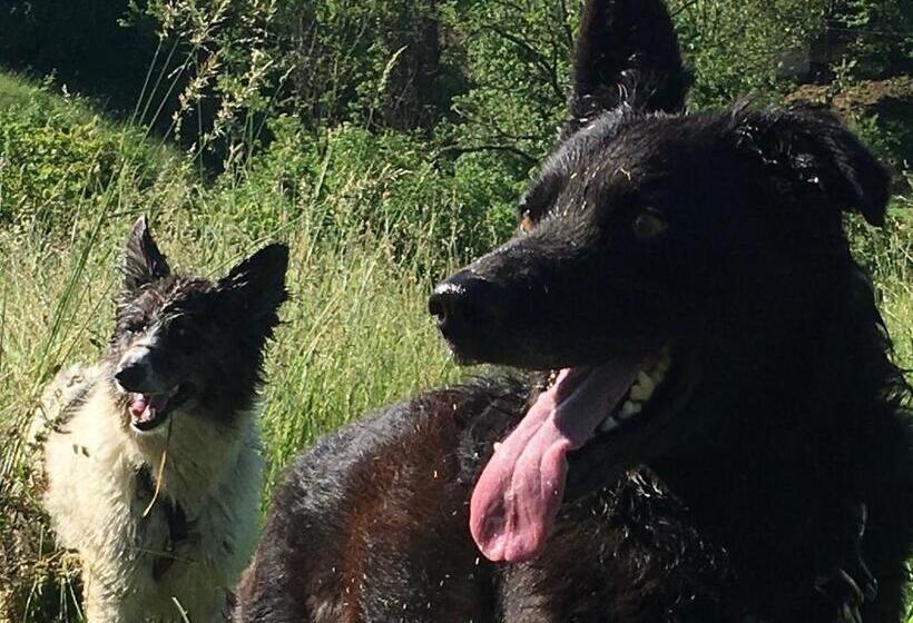 호텔 Agriturismo Fattoria Togonegro