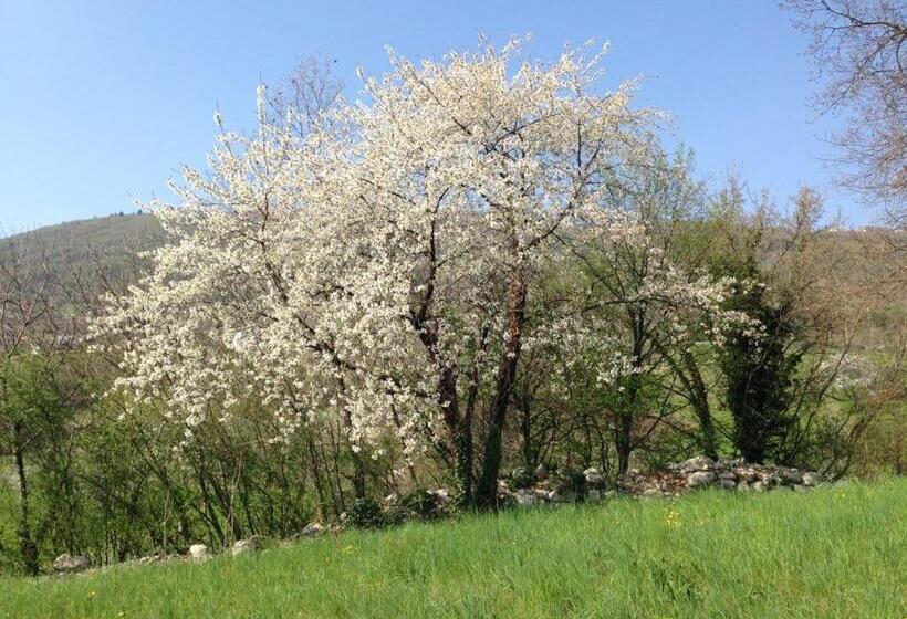 호텔 Agriturismo Fattoria Togonegro