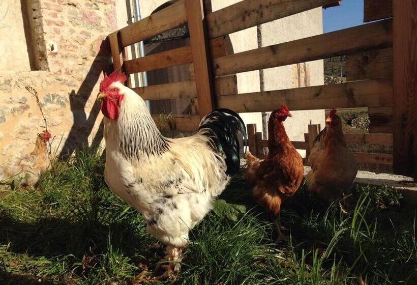 호텔 Agriturismo Fattoria Togonegro