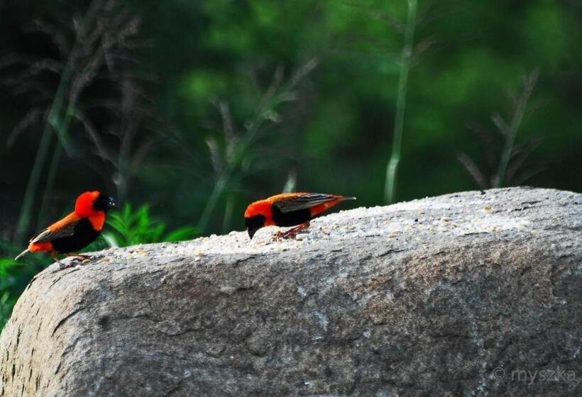 בית מלון כפרי Eureka!