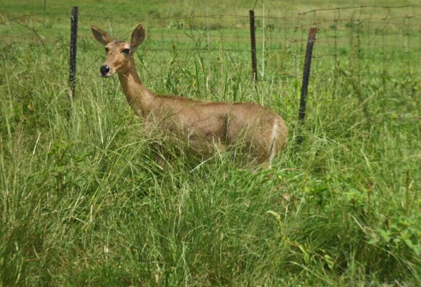 בית מלון כפרי Eureka!