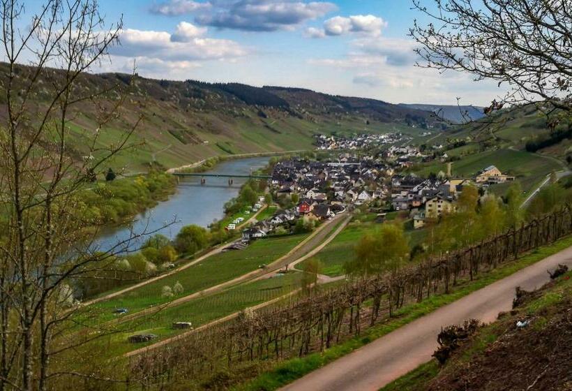 Отель Weinhaus Burg Schneider