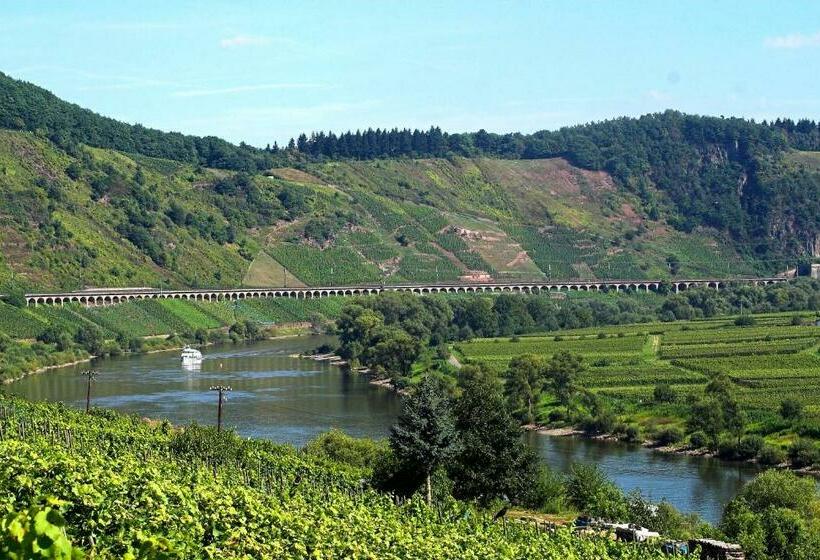 Отель Weinhaus Burg Schneider