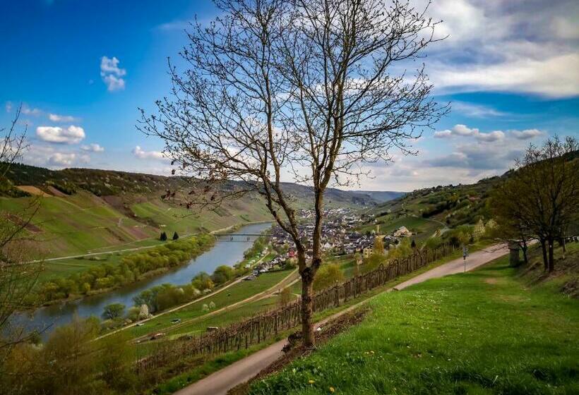 Отель Weinhaus Burg Schneider