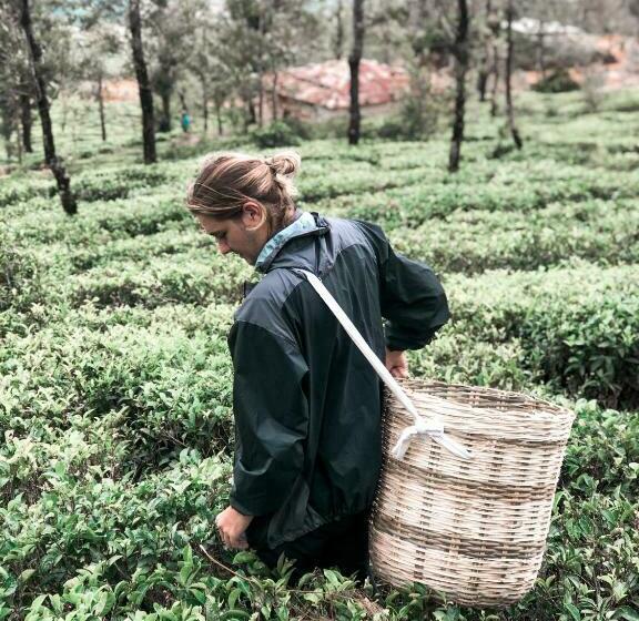 Lost & Found Hostels   Mandaramnuwara