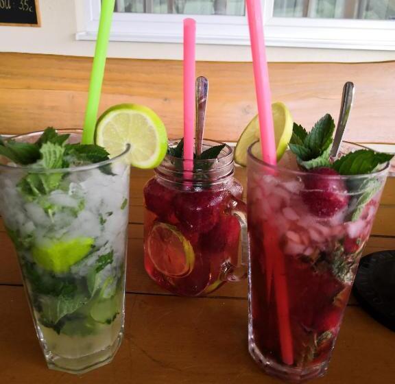 פנסיון Agrohotel Tri Brezy