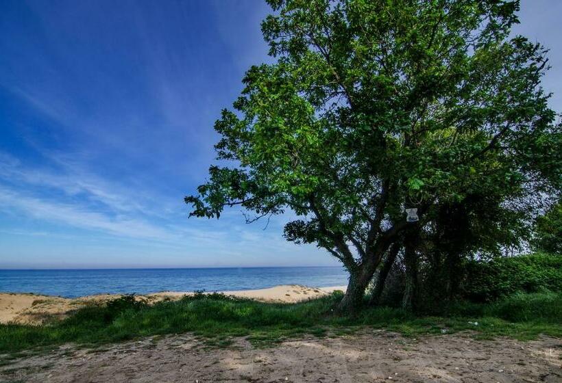 ペンション Alex Village