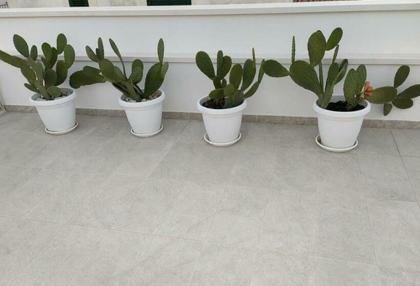 פנסיון Borgottocento