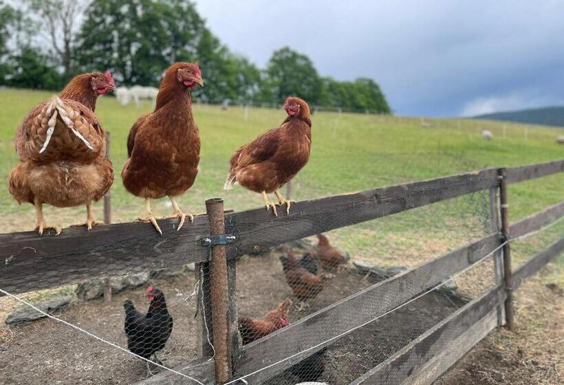 膳宿费 Chata U Kostela