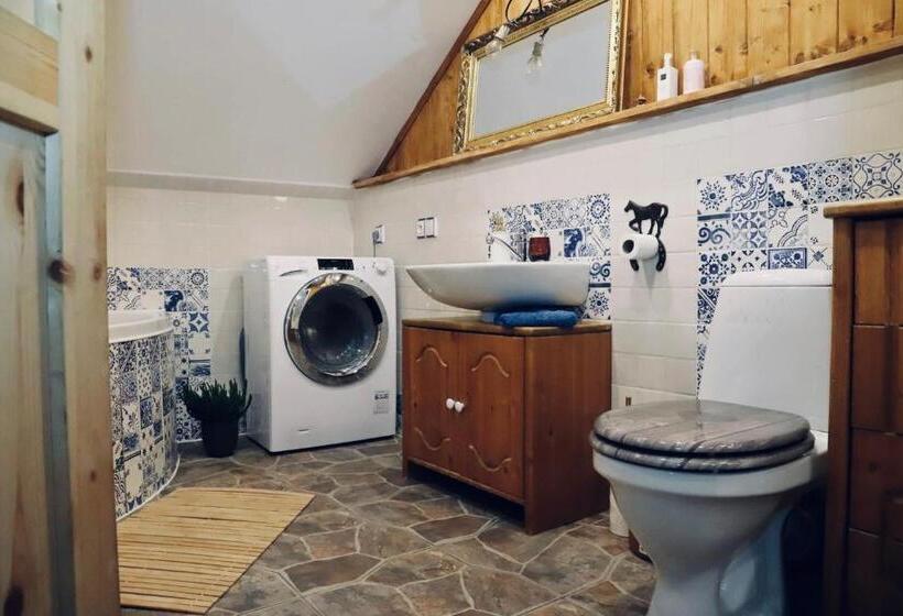 膳宿费 Chata U Kostela