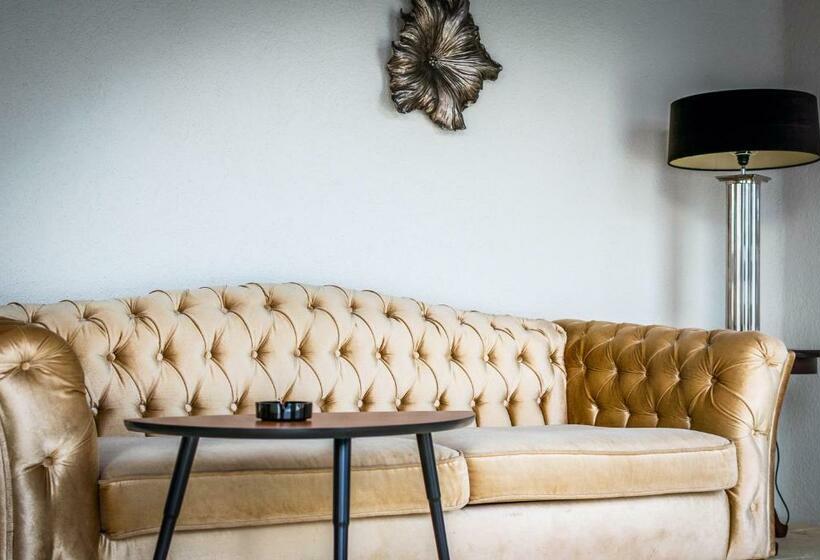 膳宿费 Elia Vama Veche