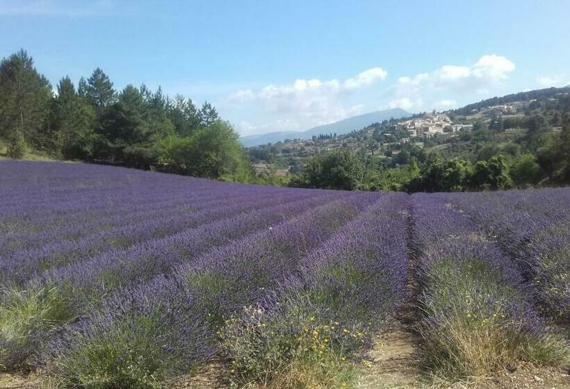 פנסיון Le Petit Ventoux