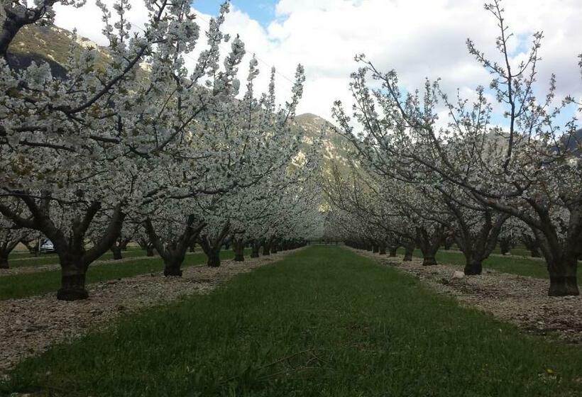 פנסיון Le Petit Ventoux