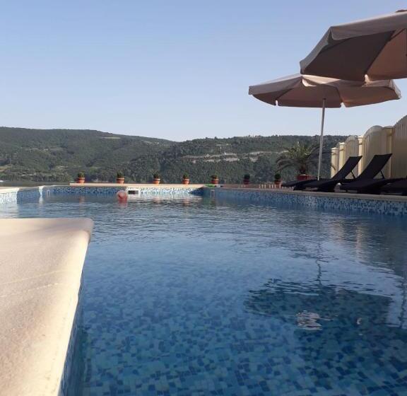 Pensiunea Alex & Restaurant