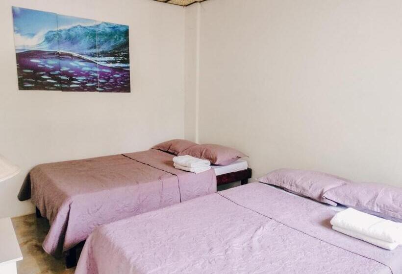 리조트 Lazerena Lodge