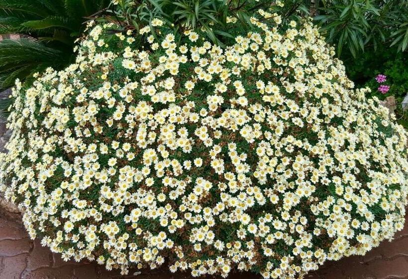 리조트 Les Suites De Pertamina