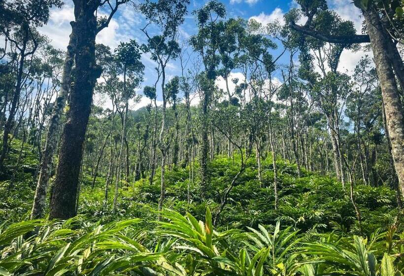 استراحتگاه Mystic Mayapott, Thekkady