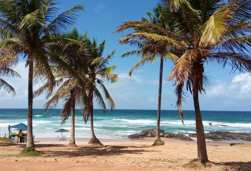 هاستل Toca Da Rapoza