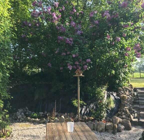 مبيت وإفطار 27