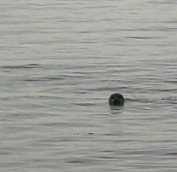 Bed and Breakfast An Taigh Mòr