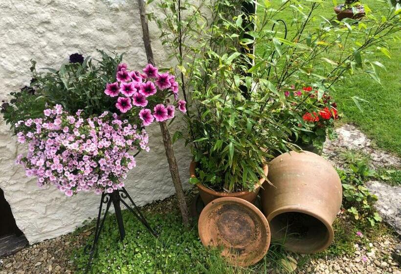 민박 Chaseborough Farm