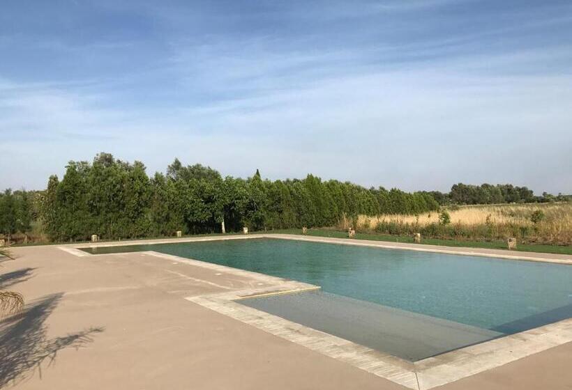 مبيت وإفطار Tenuta Castelle